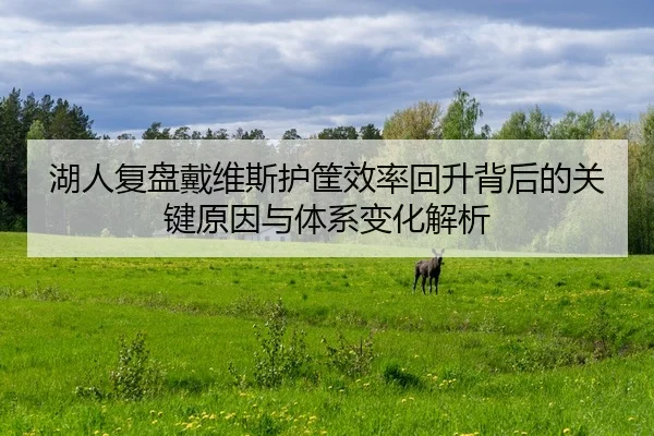 湖人复盘戴维斯护筐效率回升背后的关键原因与体系变化解析